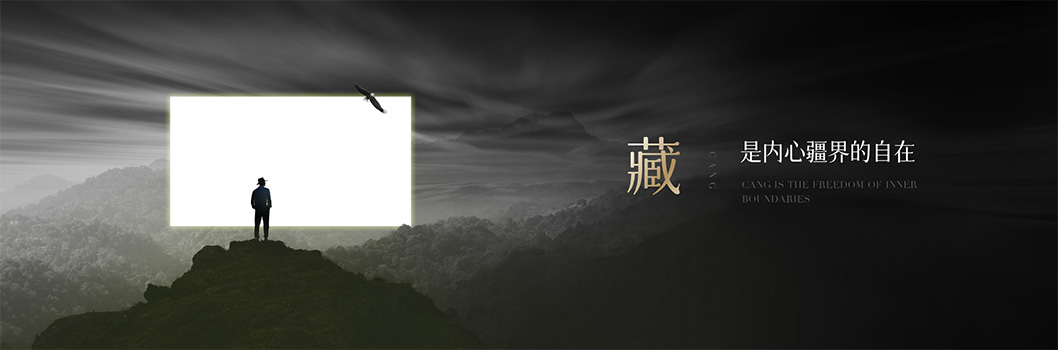 萬(wàn)科藏品牌發(fā)布會(huì)4.jpg